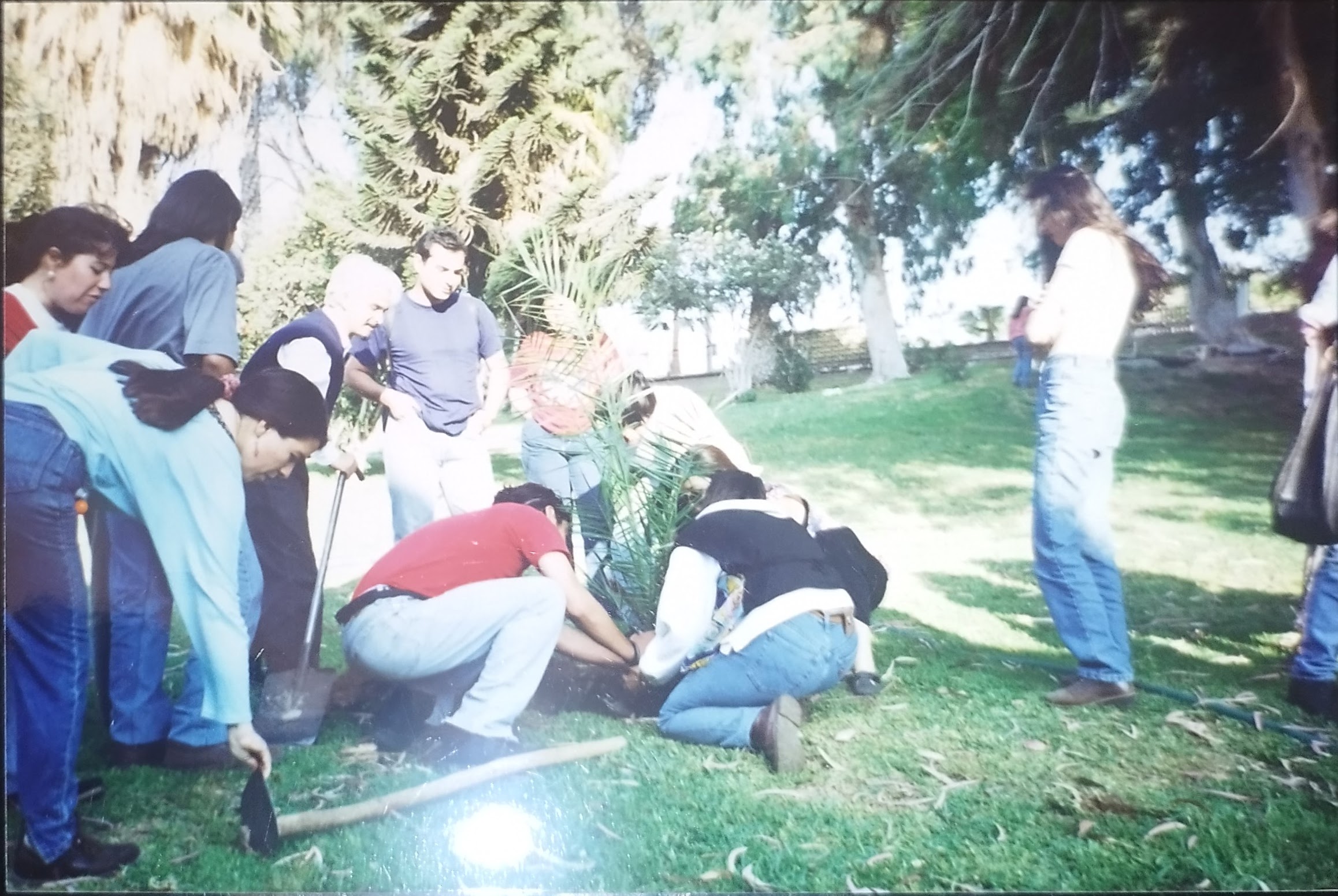 Estudiantes de Psicología de la Universidad de Tarapacá plantando el Árbol del Conocimiento